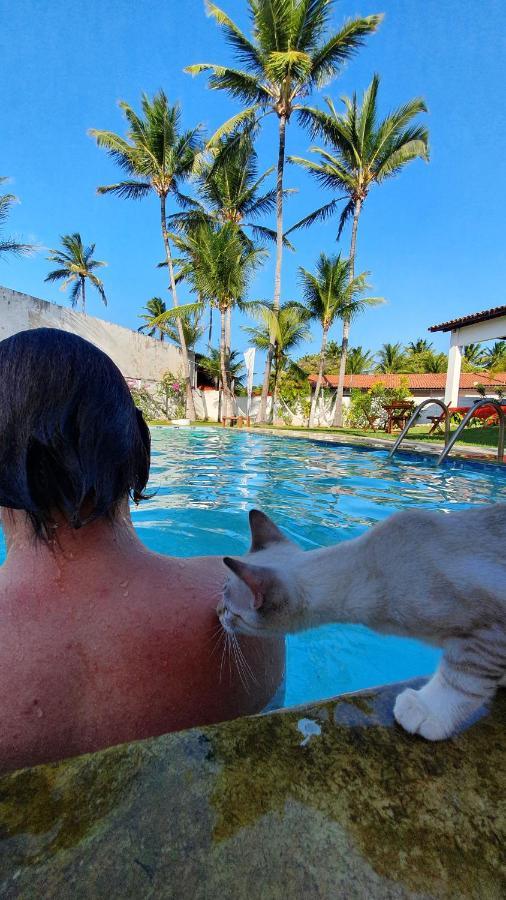 Gato Do Mato Hostel Cumbuco Eksteriør bilde